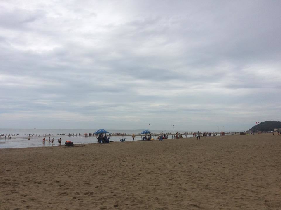 14199777_322617511414853_7152137230058804146_n