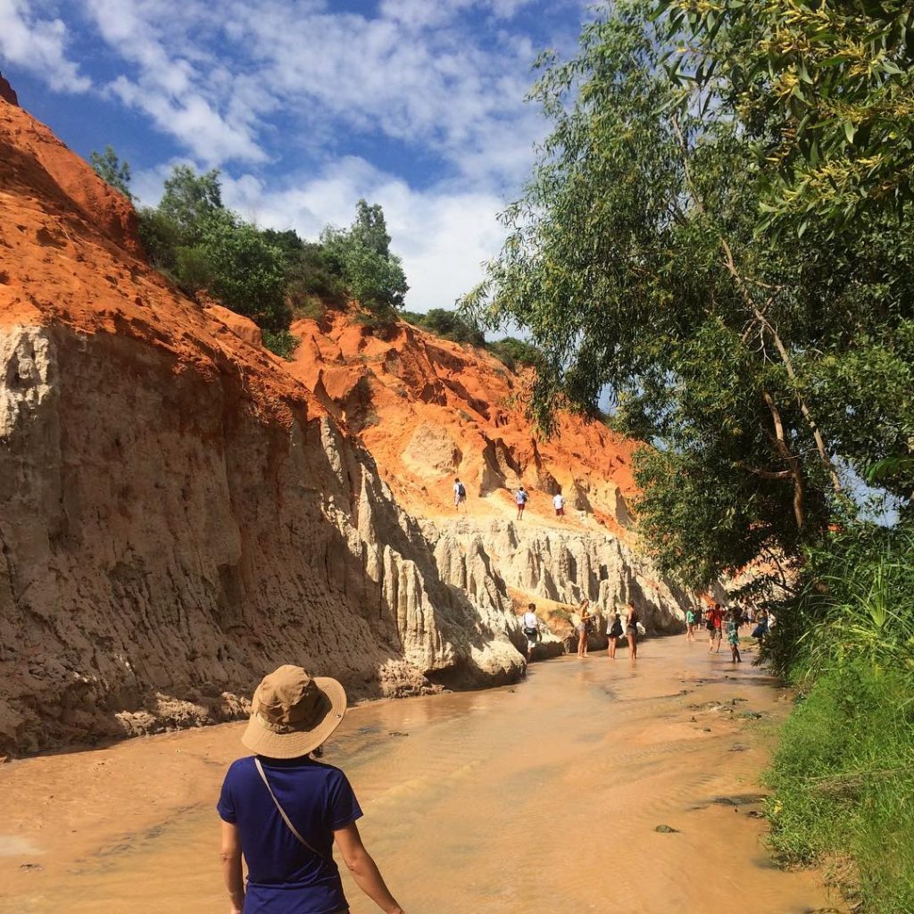 14488291_1671246849832928_2468221424729325568_n