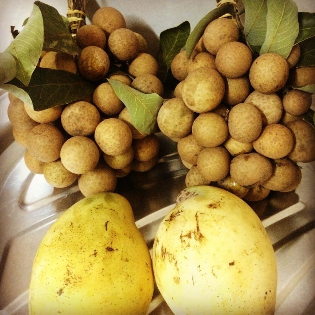 14607060_918980484902931_5777807924629864448_n